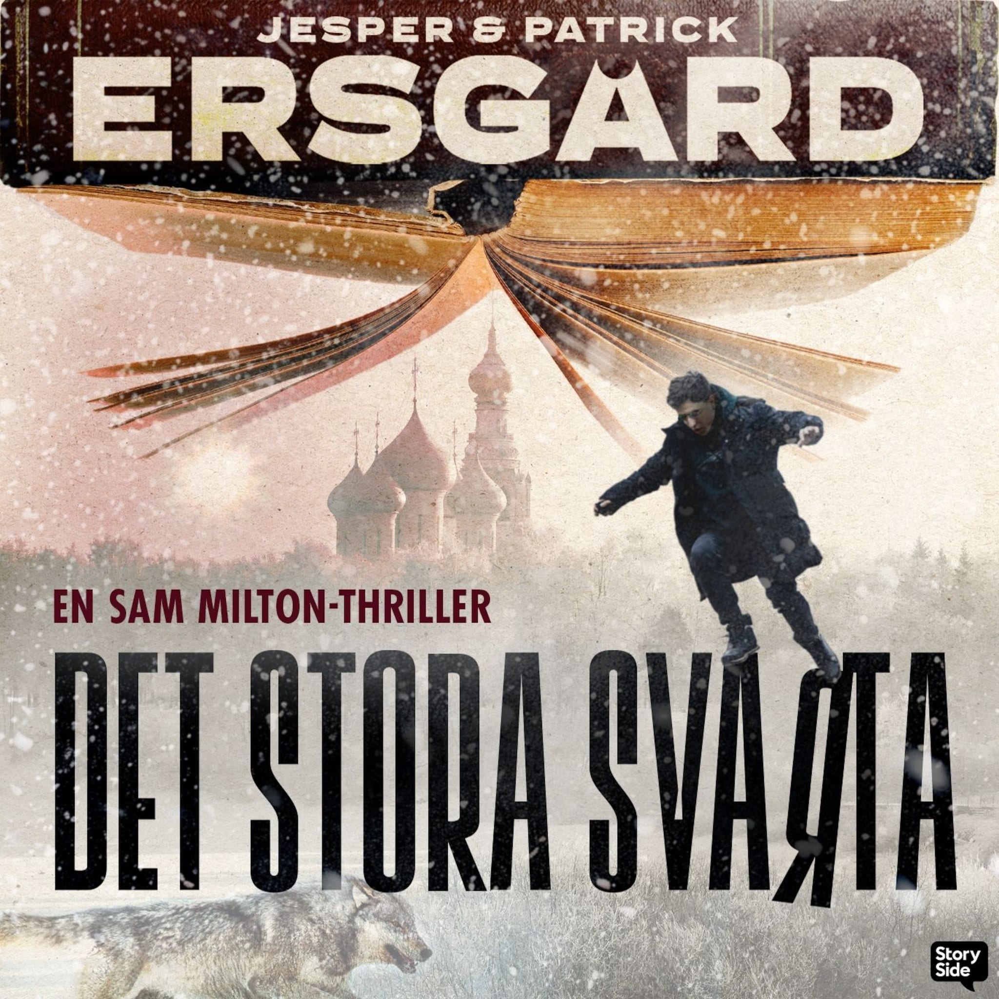 Det stora svarta