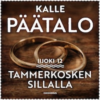 Tammerkosken sillalla