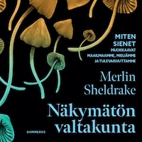 Näkymätön valtakunta