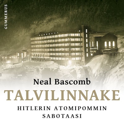 Talvilinnake