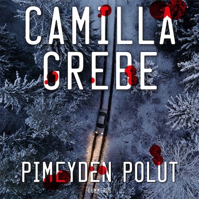 Pimeyden polut
