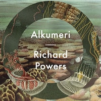Alkumeri