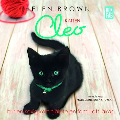 Katten Cleo - Hur en kaxig katt hjälpte en familj att läkas