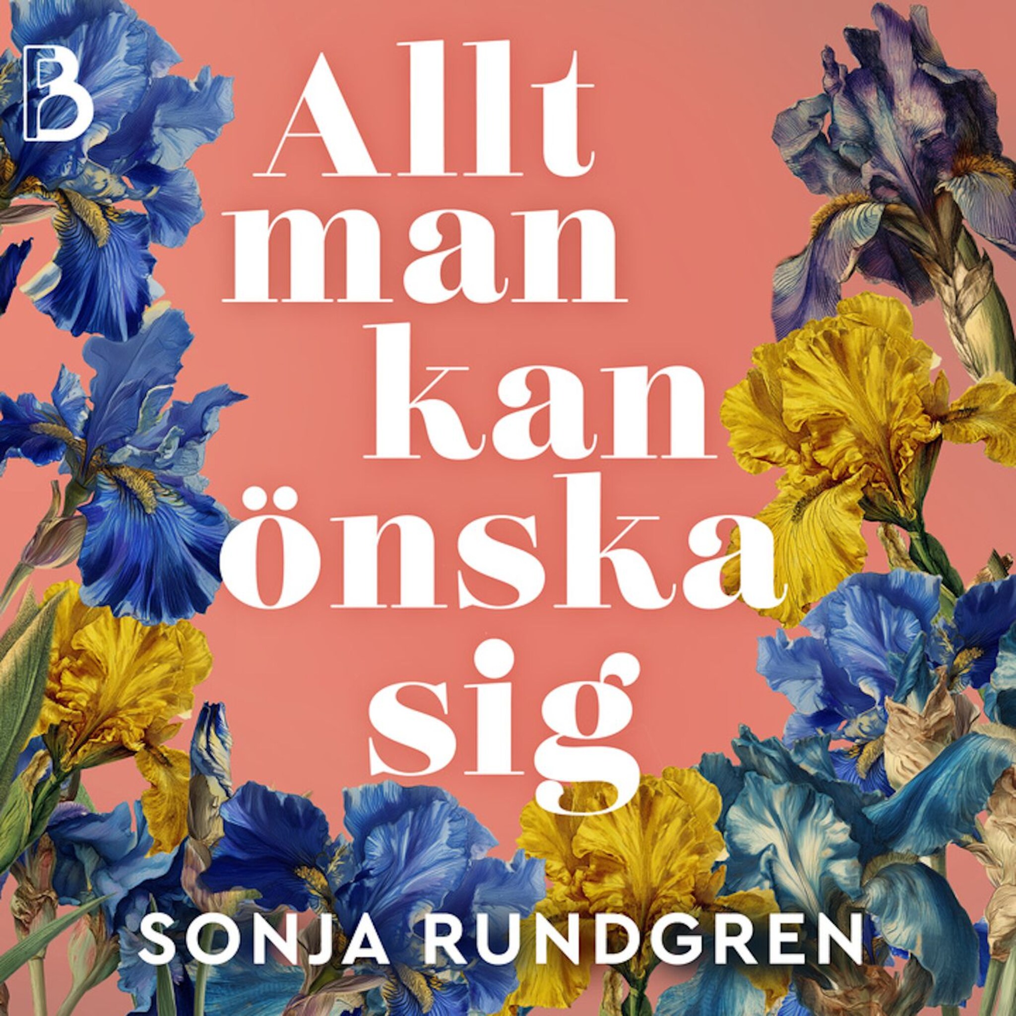 Allt man kan önska sig