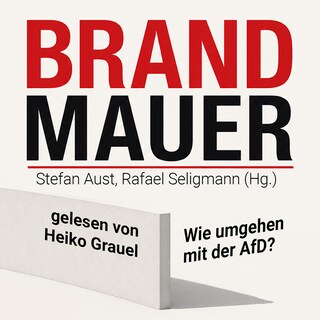 Brandmauer: Wie umgehen mit der AfD? als Hörbuch