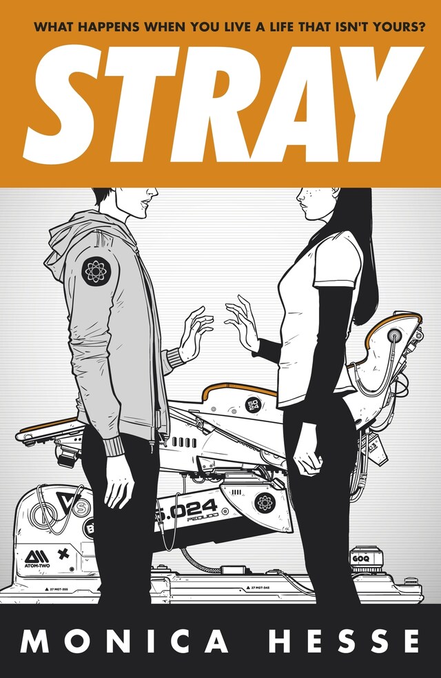 Book cover for Stray