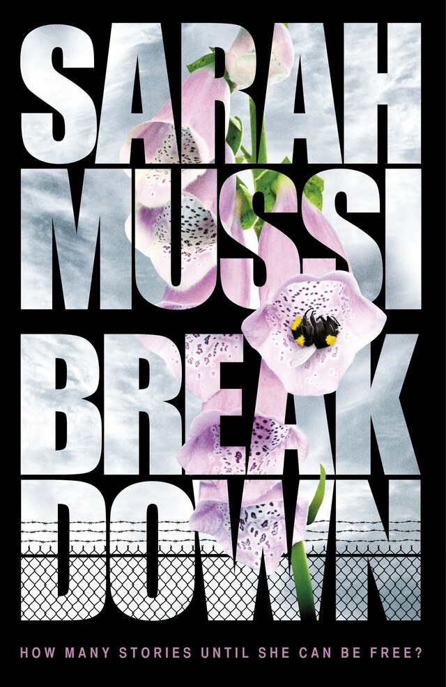 Book cover for Breakdown