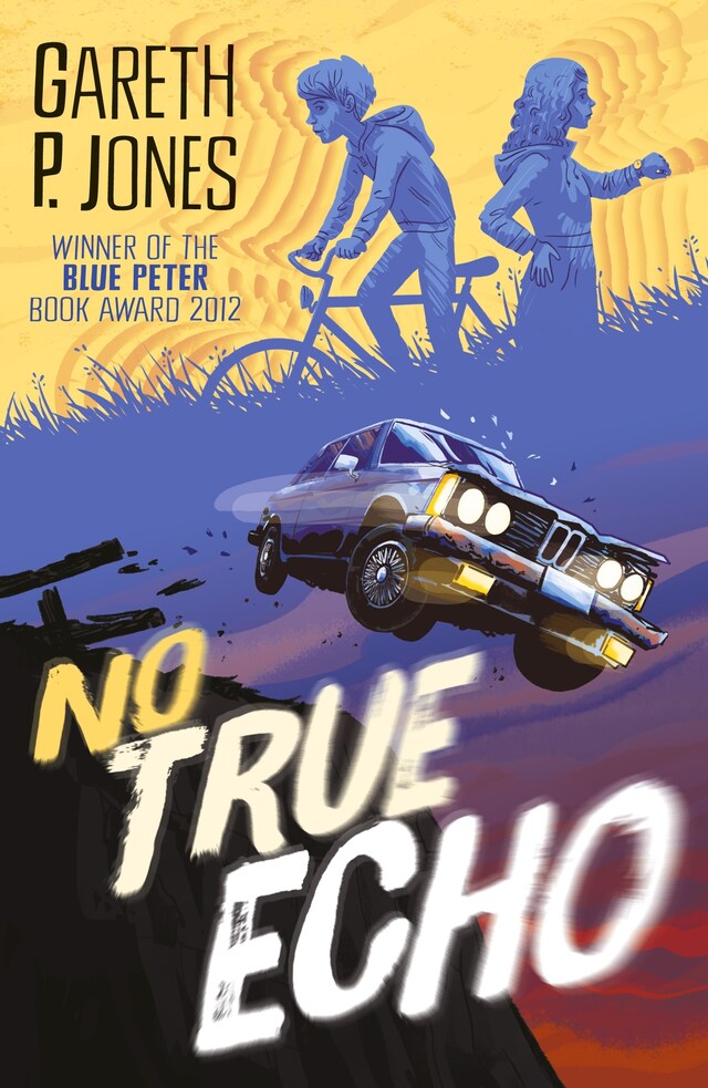 Copertina del libro per No True Echo