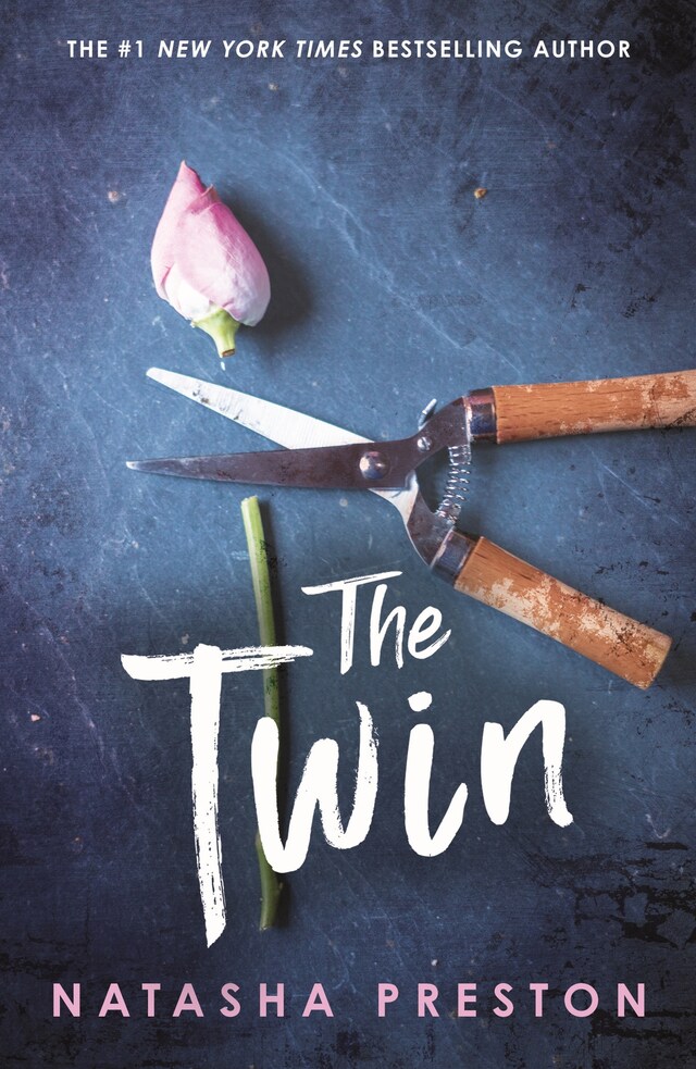 Book cover for The Twin