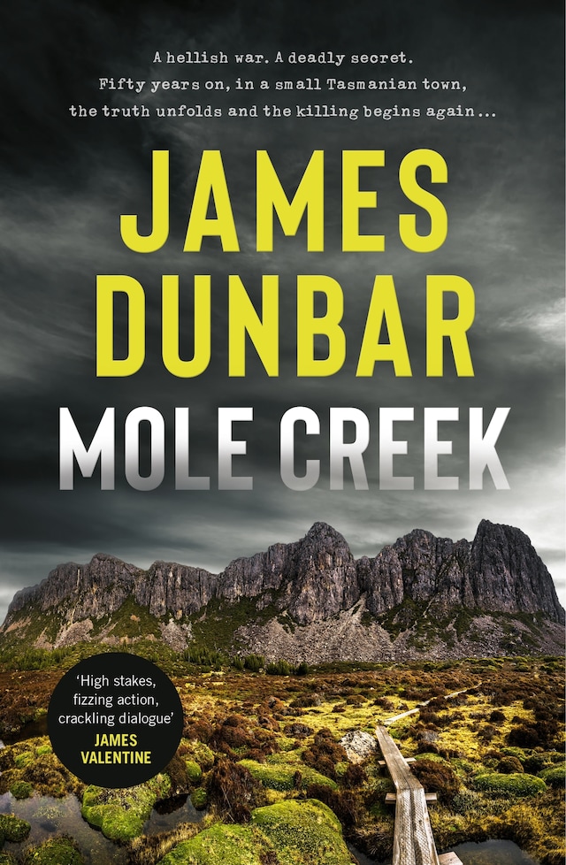 Book cover for Mole Creek