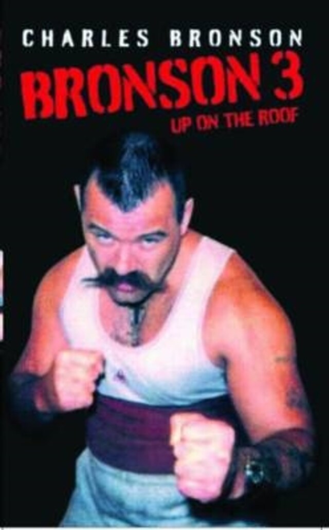 Book cover for Bronson 3 - Up on the Roof