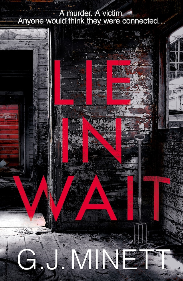 Boekomslag van Lie in Wait