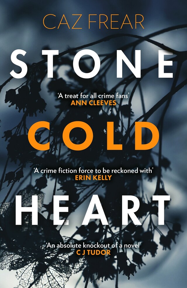 Copertina del libro per Stone Cold Heart