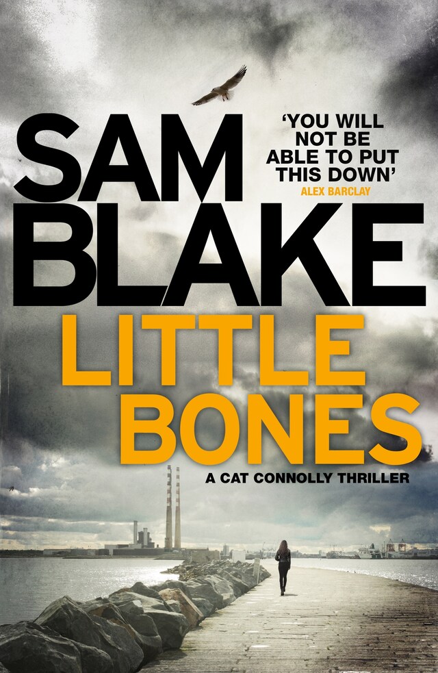 Copertina del libro per Little Bones