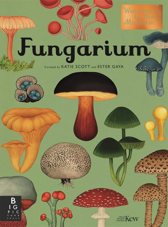 Book cover for Fungarium