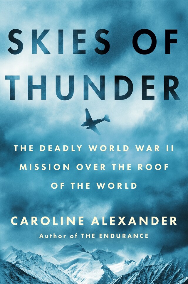 Couverture de livre pour Skies of Thunder