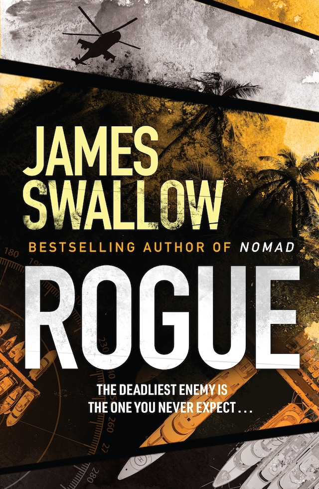 Couverture de livre pour Rogue