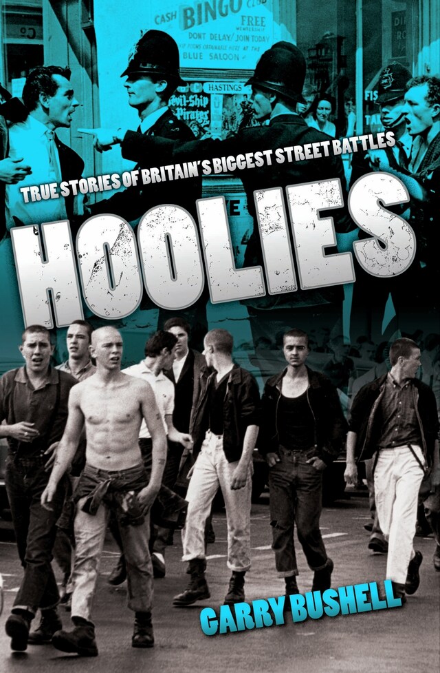 Book cover for Hoolies