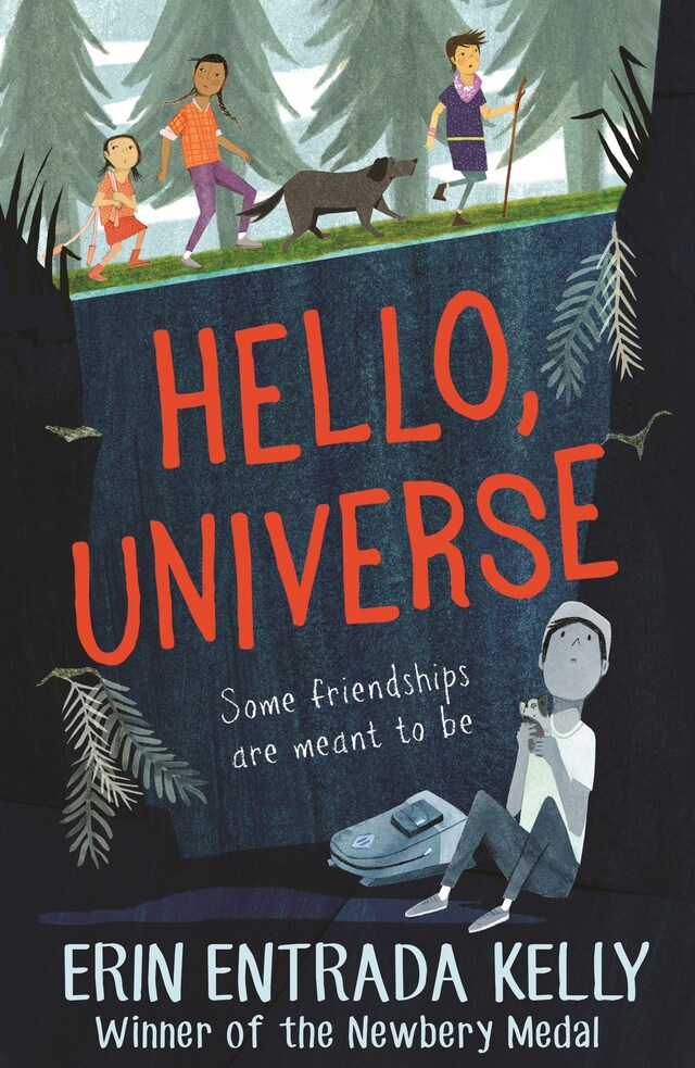 Book cover for Hello, Universe