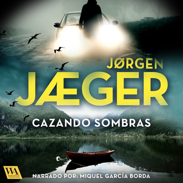 Book cover for Cazando sombras