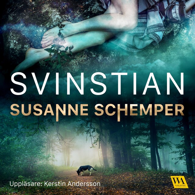 Book cover for Svinstian