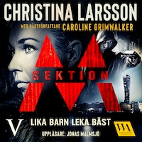 Sektion M – Lika barn leka bäst
