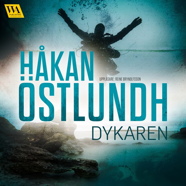 Book cover for Dykaren