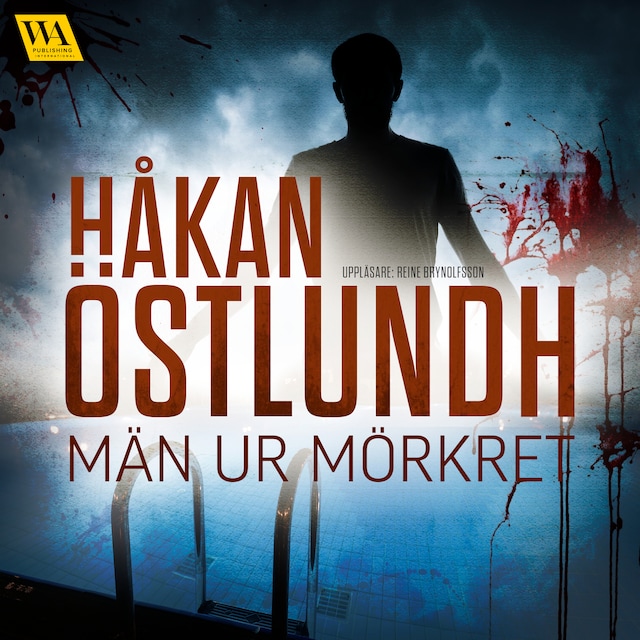 Book cover for Män ur mörkret