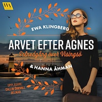 Solnedgång över Visingsö