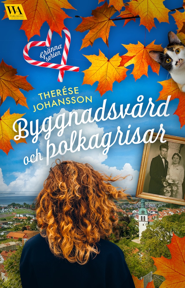 Book cover for Byggnadsvård och polkagrisar