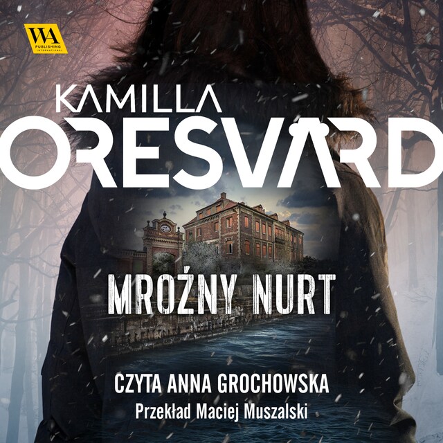 Book cover for Mroźny nurt