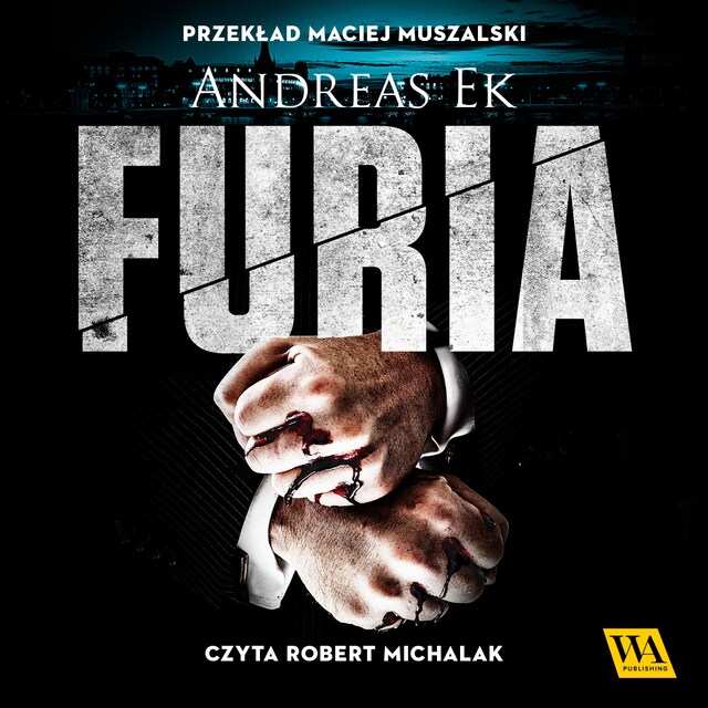 Portada de libro para Furia