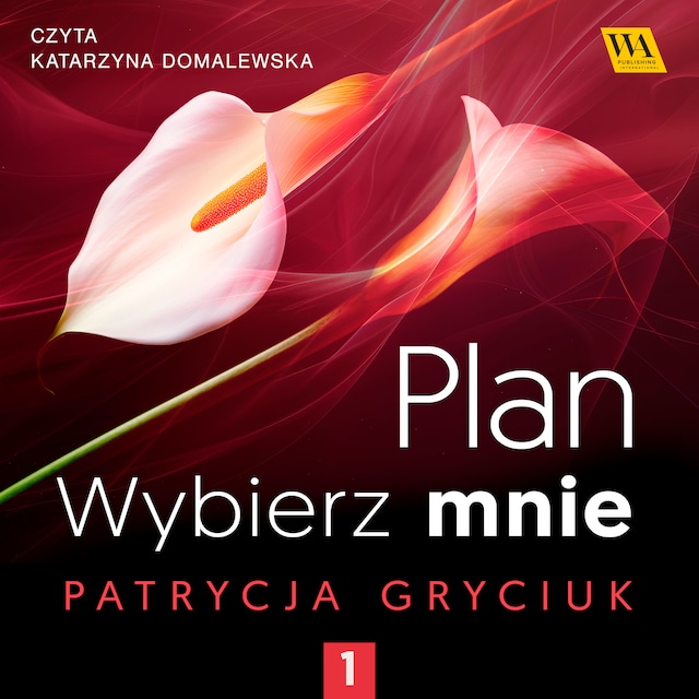 Book cover for Plan. Wybierz mnie