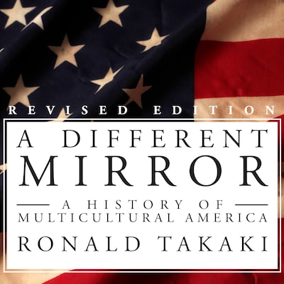 A Different Mirror