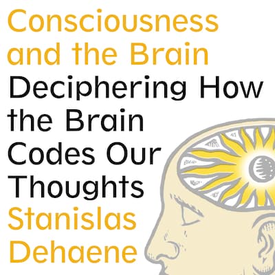 Consciousness and the Brain