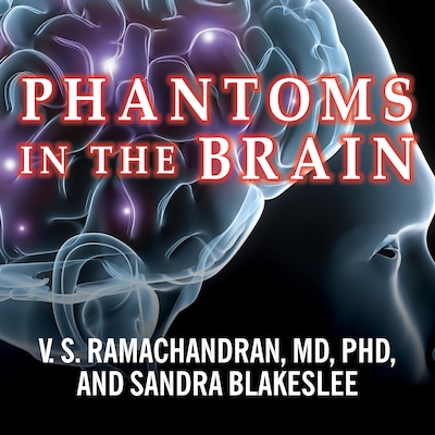 Phantoms in the Brain
