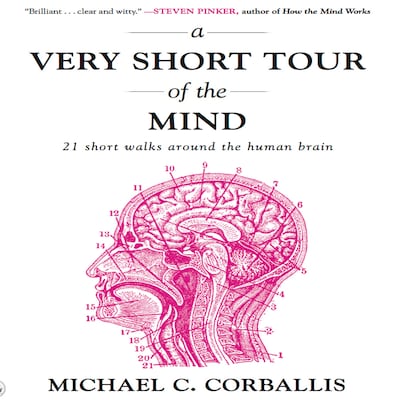 A Very Short Tour the Mind