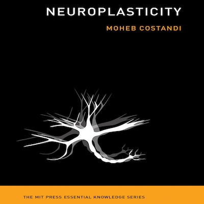 Neuroplasticity