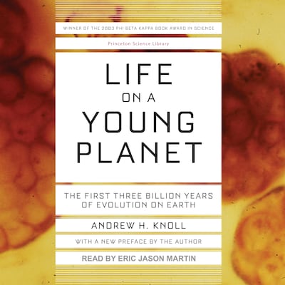 Life on a Young Planet