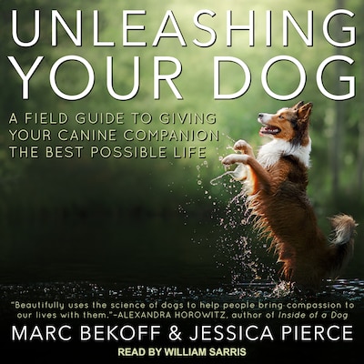 Unleashing Your Dog