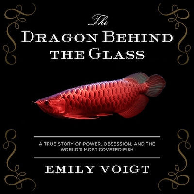The Dragon Behind the Glass