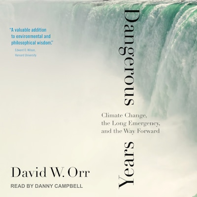 Dangerous Years