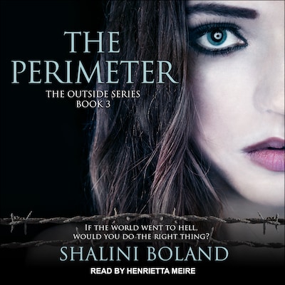The Perimeter