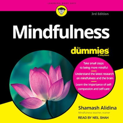Mindfulness For Dummies