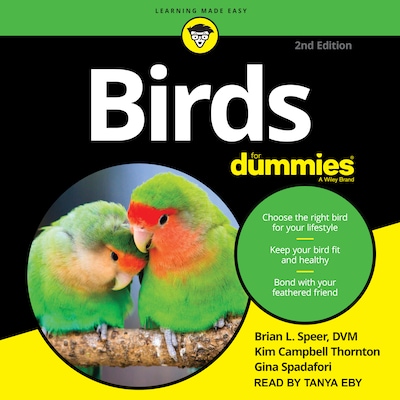 Birds for Dummies