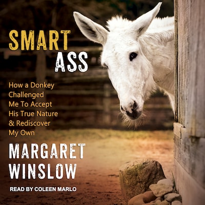 Smart Ass