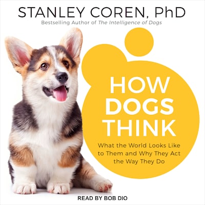 How Dogs Think