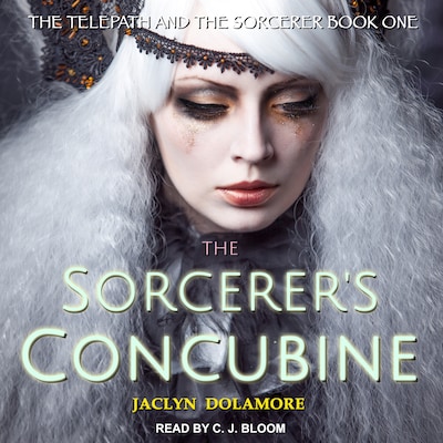 The Sorcerer's Concubine
