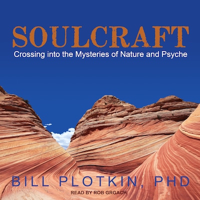 Soulcraft