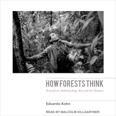 How Forests Think